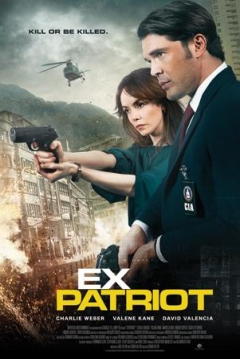 Poster Traidora