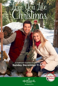 Poster El valle de la Navidad