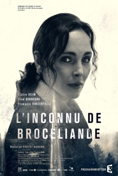 Poster Asesinato en Broceliande