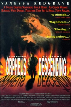 Poster Ardiente pasión