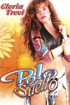 Poster Pelo Suelto