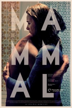 Poster Mammal