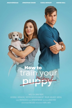 Poster How to Pick your Second Husband First