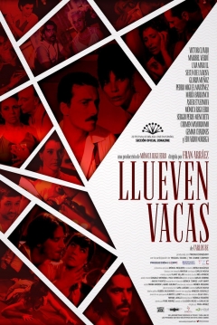 Poster Llueven Vacas