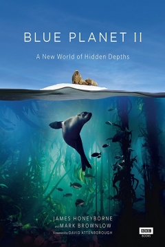 Poster Planeta Azul 2