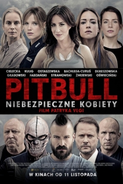 Poster Pitbull: Tough Women