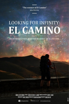 Poster Looking For Infinity: El Camino