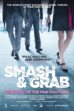 Poster La Historia de los Pink Panthers