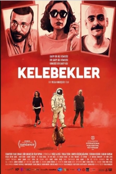 Poster Butterflies