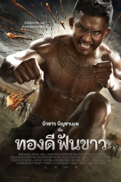 Poster Legend of the Broken Sword Hero