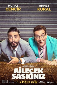 Poster Ailecek Saskiniz