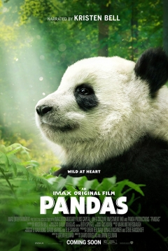 Poster Pandas