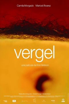 Poster Vergel