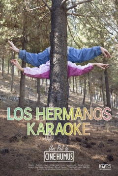 Poster Los Hermanos Karaoke