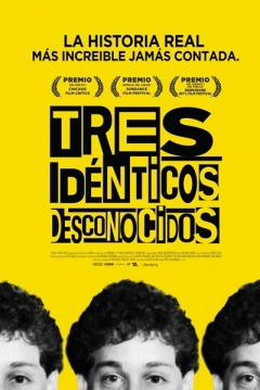 Poster Tres Idénticos Desconocidos
