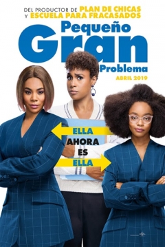 Poster Pequeño gran Problema