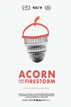Poster ACORN and the Firestorm