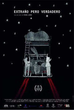 Poster Extraño Pero Verdadero