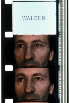 Poster Walden: Diaries, Notes and Sketches