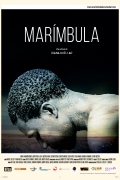 Poster Marímbula