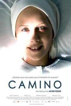 Ficha Camino