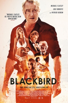 Poster Blackbird