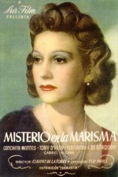 Poster Misterio en la Marisma