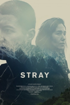 Poster Stray