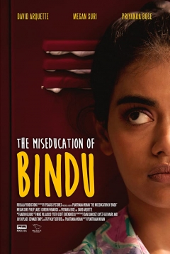 Poster The Miseducation Of Bindu