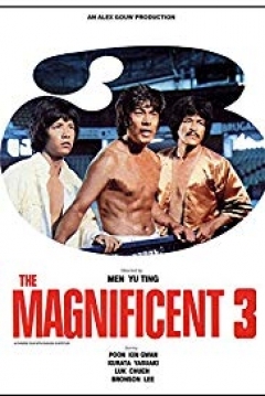 Poster The Magnificent Three