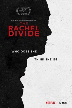 Poster The Rachel Divide