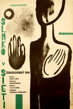 Poster El Sol en la Red