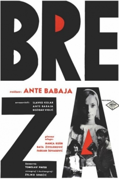 Poster El Abedul