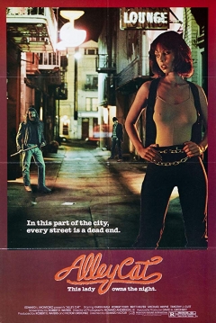 Poster Alley Cat