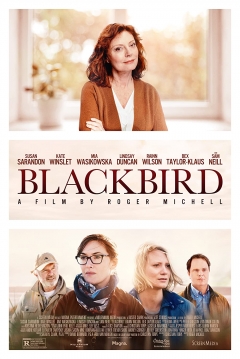 Blackbird: La Decisión — póster