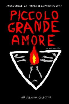 Poster Piccolo Grande Amore