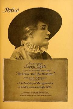 Poster The World And The Woman