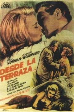 Poster Desde la Terraza