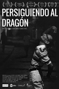 Poster Persiguiendo al Dragón