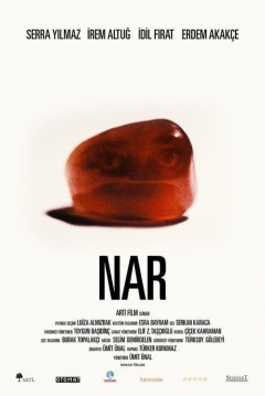 Poster The Pomegranate