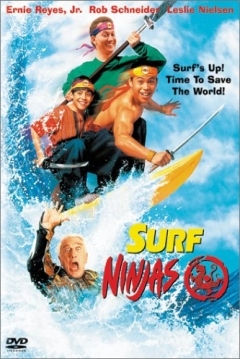 Ficha Surf Ninjas