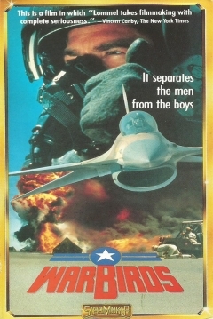 Poster Warbirds
