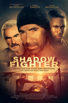 Poster Shadow Fighter