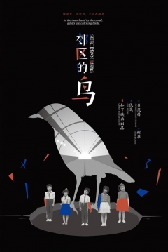 Poster Suburban Birds