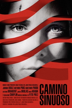 Poster Camino Sinuoso