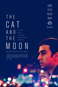 Poster The Cat And The Moon