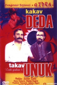 Poster Lude Godine IV