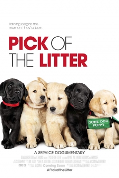 Poster Pick Of The Litter