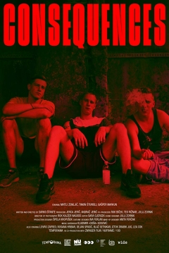 Poster Consequences