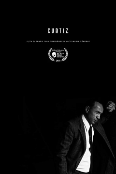 Poster Curtiz